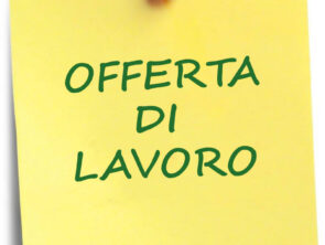 Cerco Geometri