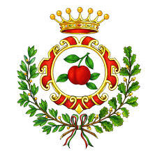 comune Pomigliano d’Arco  – attivazione Pagopa – pratiche edilizie